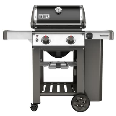 WEBER 60018184 Gas grill