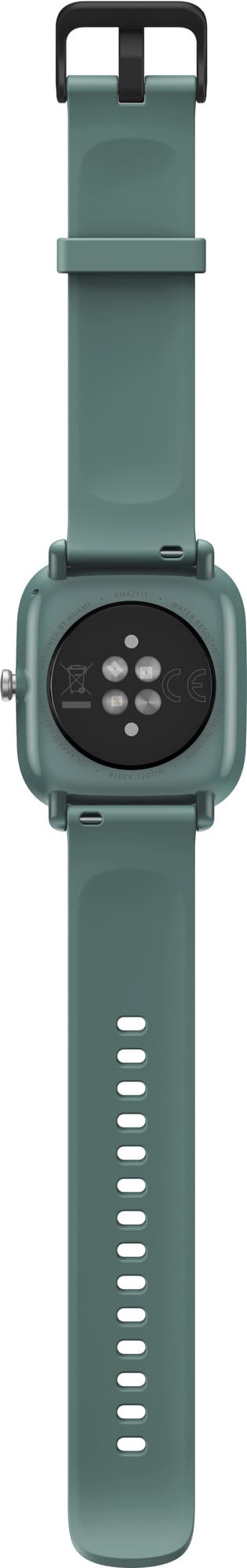 Amazfit GTS 2 Mini älykello (salvianvihreä)
