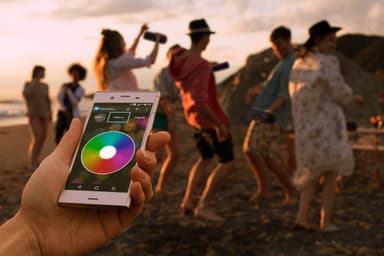 Sony kannettava langaton bilekaiutin SRS-XB41 (sininen)