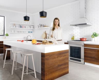 Electrolux Rapido rikkaimuri ZB5003SW (simpukanvalkoinen)