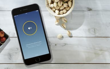 Google Nest Protect palovaroitin (paristo)