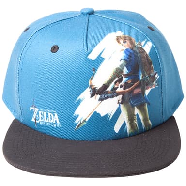 The Legend of Zelda: Breath of the Wild lippalakki - Link