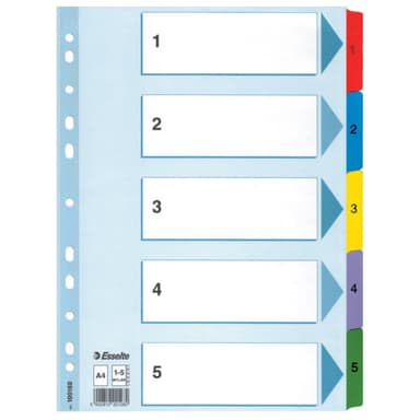 Kartonkirekisteri Esselte Mylar A4