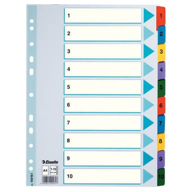 Kartonkirekisteri Esselte Mylar A4