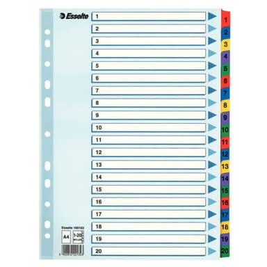 Kartonkirekisteri Esselte Mylar A4