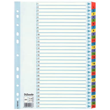 Kartonkirekisteri Esselte Mylar A4