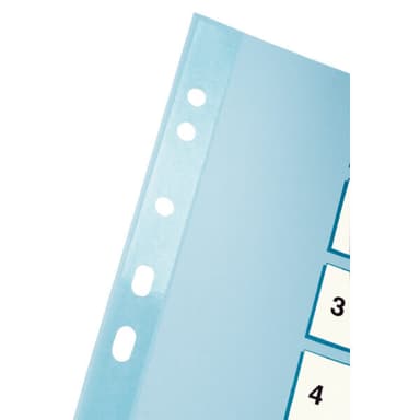 Kartonkirekisteri Esselte Mylar A4
