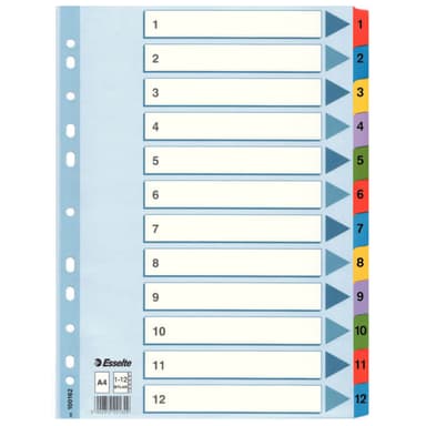 Kartonkirekisteri Esselte Mylar A4