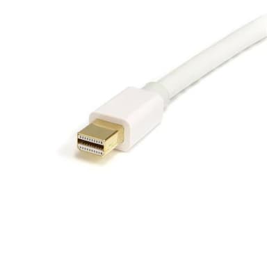 StarTech.com 2 m Mini DisplayPort/DisplayPort, 2 m, mini DisplayPort, DisplayPort, Valkoinen, Kulta, Uros/uros