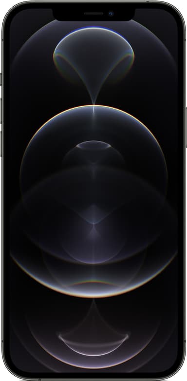 iPhone 12 Pro Max - 5G älypuhelin 256 GB (grafiitti)