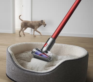 Dyson Outsize Absolute varsi-imuri 38590801 (Sprayed Nickel)