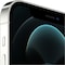 iPhone 12 Pro - 5G älypuhelin 256GB (hopea)
