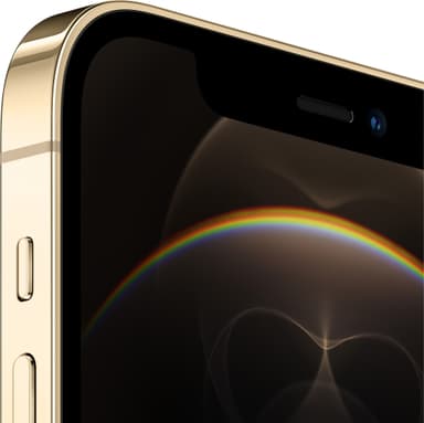 iPhone 12 Pro - 5G älypuhelin 256GB (kulta)