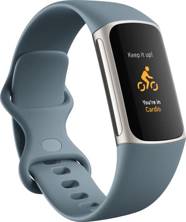 Fitbit Charge 5 aktiivisuusranneke (Steel Blue/Platinum)