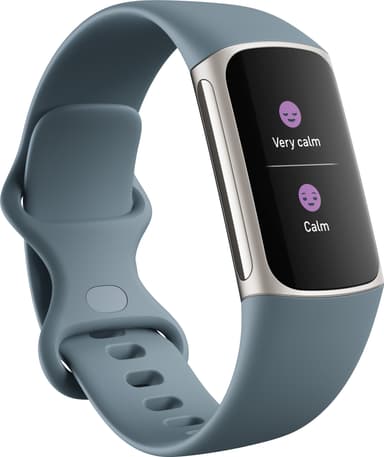 Fitbit Charge 5 aktiivisuusranneke (Steel Blue/Platinum)