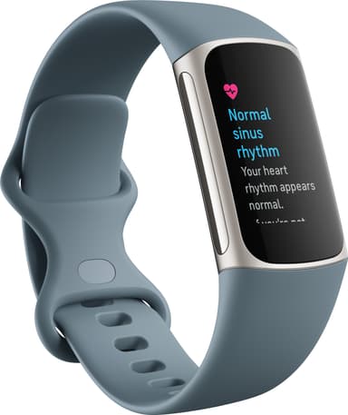 Fitbit Charge 5 aktiivisuusranneke (Steel Blue/Platinum)