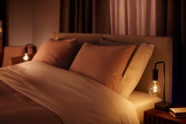 Philips Hue WA 7W Fil G93 lamppu E27