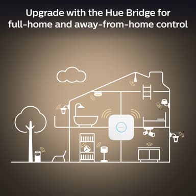 Philips Hue WA 13,5W A67 lamppu E27
