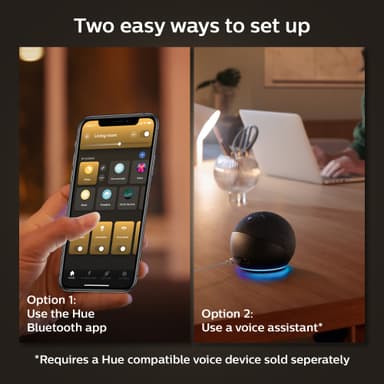 Philips Hue WA 13,5W A67 lamppu E27