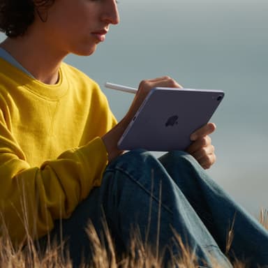 iPad mini (2021) 256 GB WiFi + Cellular (violetti)