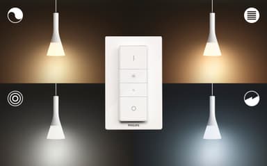 Philips Hue Explore riippuvalaisin valkoinen 8,5 W