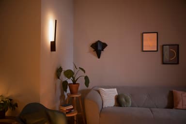 Philips Hue Liane seinälamppu musta 12W 24V