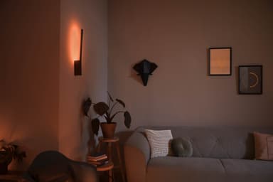 Philips Hue Liane seinälamppu musta 12W 24V