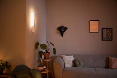 Philips Hue Liane seinälamppu valkoinen 12W 24V