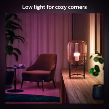 Philips Hue WCA 6,5W A60 lamppu E27 (2 kpl)