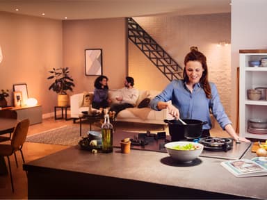 Philips Hue WA 8W A60 E27 Bridge-aloituspakkaus