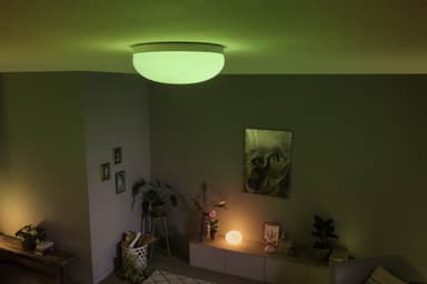 Philips Hue Flourish kattolamppu valkoinen 24V