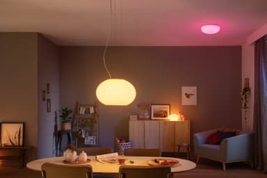 Philips Hue Flourish riippuvalaisin valkoinen 24V