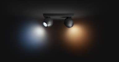 Philips Hue Buckram spottivalo 2x5W (musta)