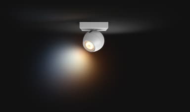 Philips Hue Buckram lisäspottivalo 5W (valkoinen)