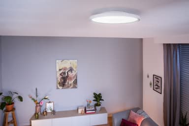 Philips Hue Aurelle paneelivalaisin 24,5 W