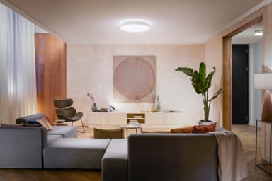Philips Hue Enrave XL kattovalaisin valkoinen
