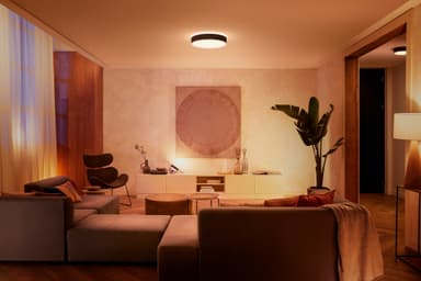 Philips Hue Enrave L kattovalaisin (musta)