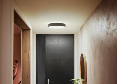 Philips Hue Enrave M kattovalaisin (musta)