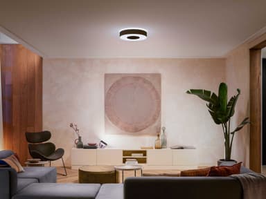 Philips Hue Infuse M kattovalaisin (musta)