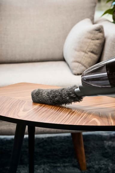 Electrolux imutehoinen pölyhuiska ZE146