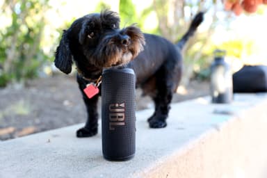 JBL Flip 6 kannettava kaiutin (musta)