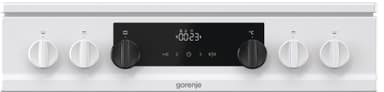 Gorenje Advanced liesi EC8647W