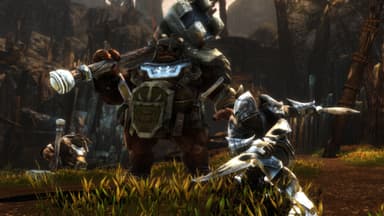 Kingdoms of Amalur: Re-Reckoning Fate Edition - PC Windows