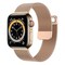 Milanese Rannekoru Apple Watch 7 (45mm) - Ruusu