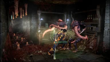 Onimusha: Warlords - PC Windows
