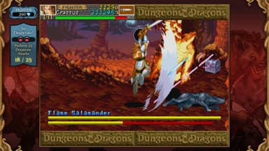 Dungeons & Dragons: Chronicles of Mystara - PC Windows