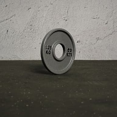 Master Fitness Master Inronplate Machined, Levypainot Rauta 1,25 kg