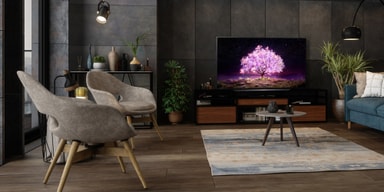 LG 48" C1 4K OLED älytelevisio (2021)