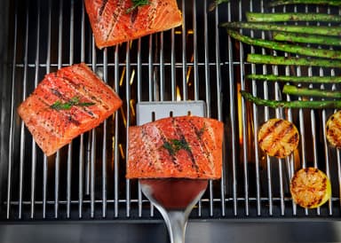 Weber Precision grillilasta 6761