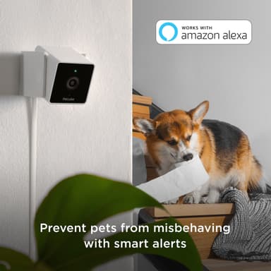 Petcube Cam lemmikkikamera